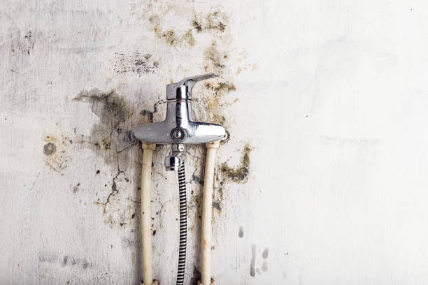 Best Emergency Mold Removal  in Bethlehem Village, CT