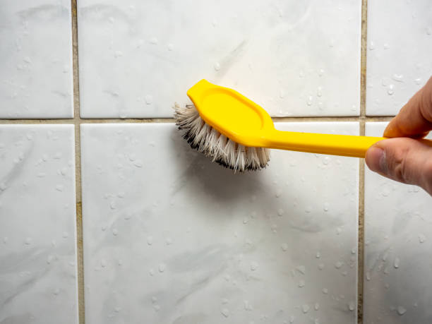Best Professional Mold Removal  in Bethlehem Village, CT