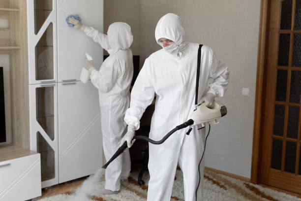 Attic Mold Removal in Bethlehem Village, CT