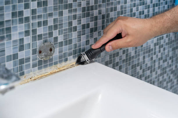 Best Commercial Mold Removal  in Bethlehem Village, CT