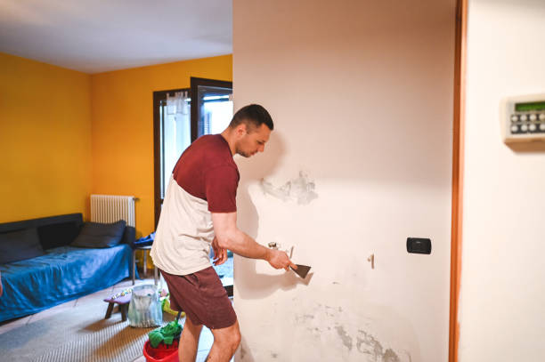 Best Certified Mold Removal  in Bethlehem Village, CT